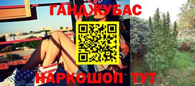 твердый Гусев