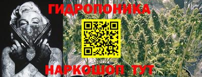 прущая мука Гусь-Хрустальный